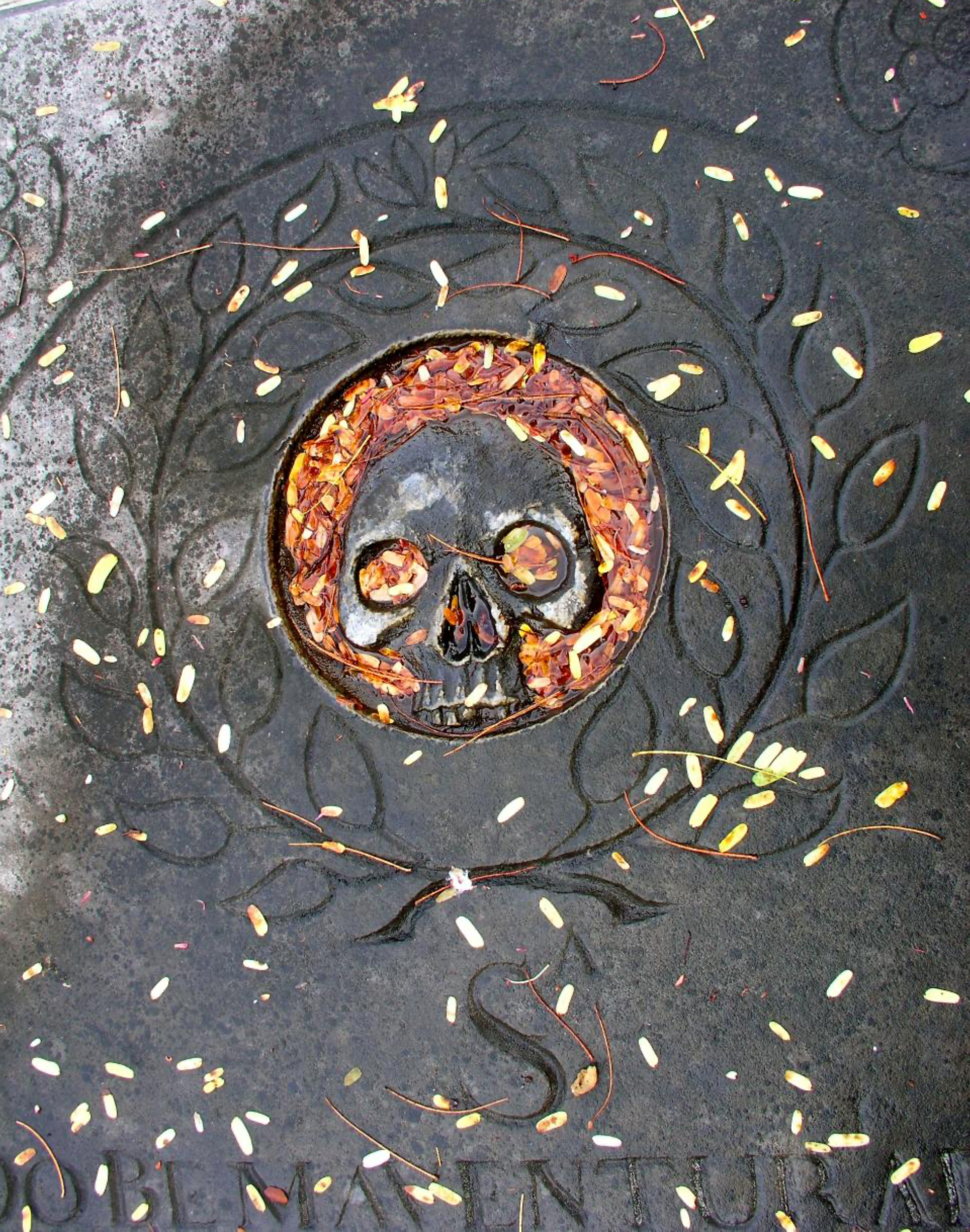 Gravestone in the Cemetery at Nidhe Israel Synagogue in Barbados. Come and find this Grave Marker.