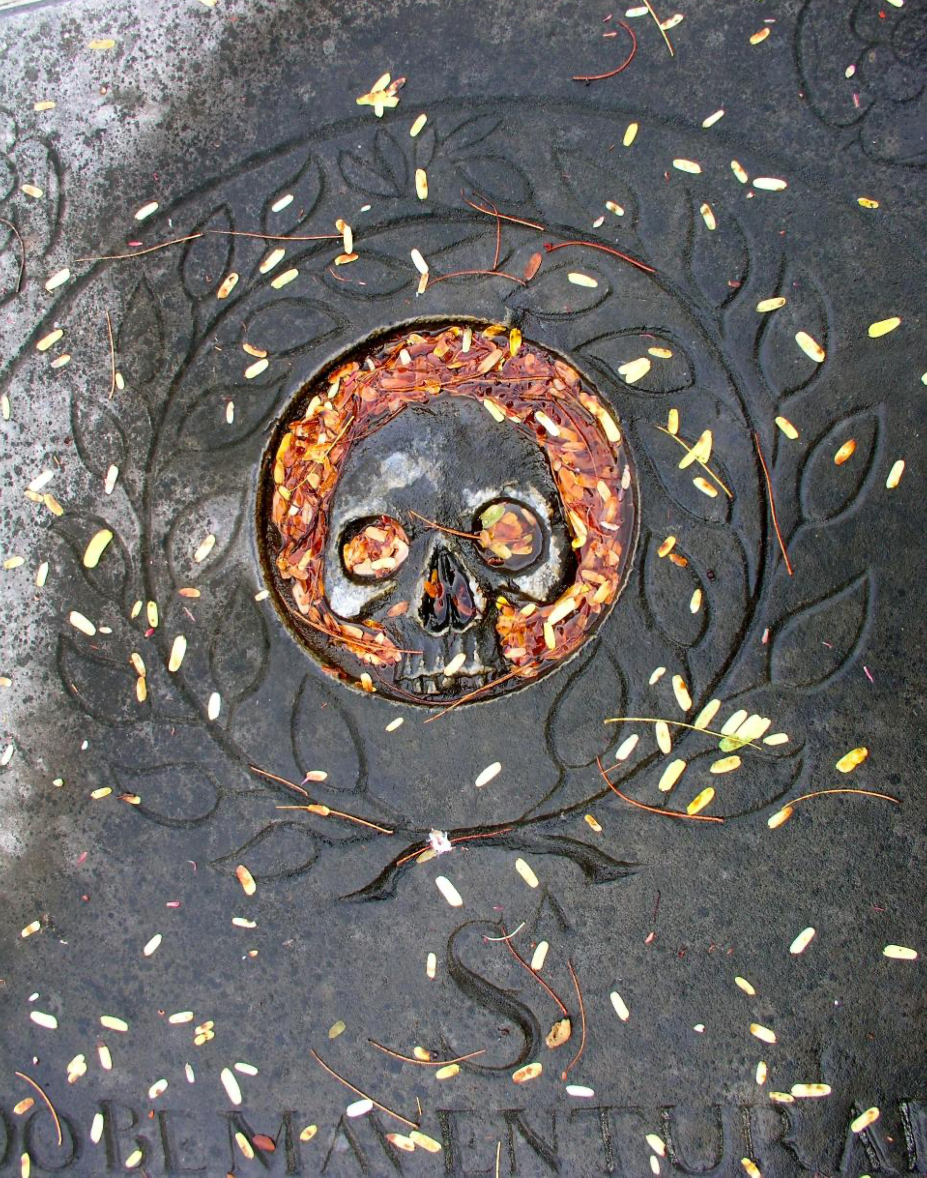 Gravestone in the Cemetery at Nidhe Israel Synagogue in Barbados.  Come and find this Grave Marker.